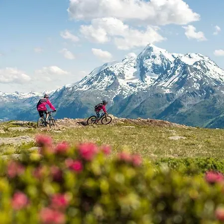 Alps Haven